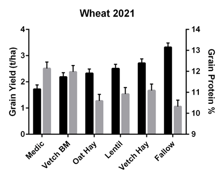 Figure 1. Grain yield (black bars) and grain protein (grey bars) of wheat in 2021 following break phases in 2020.